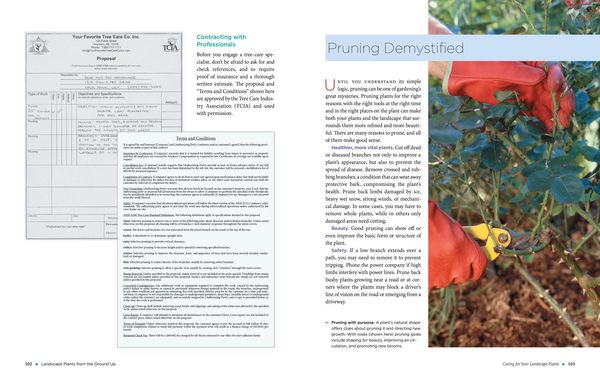 Produktbild: The Homeowner's Complete Tree & Shrub Handbook