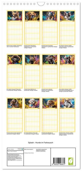 Produktbild: Familienplaner 2026 - Splash - Hunde im Farbrausch mit 5 Spalten (Wandkalender, 21 x 45 cm) CALVENDO