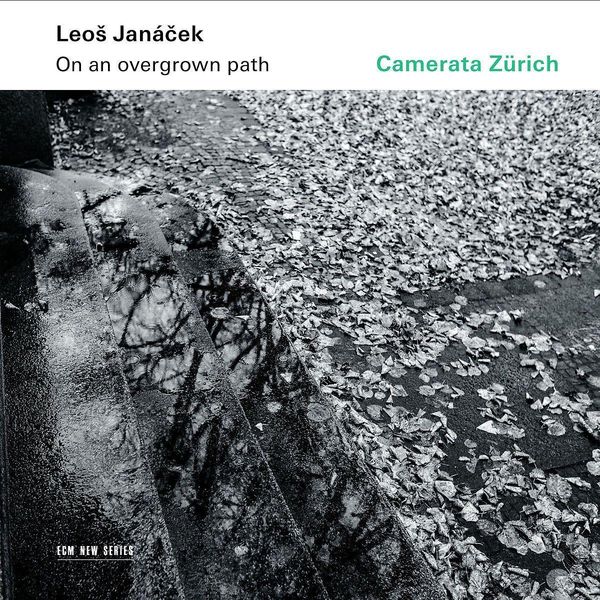 Produktbild: Leos Janacek: On an overgrown path