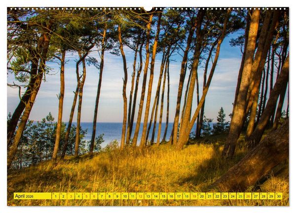 Produktbild: Erlebnis Ostseek&uuml;ste - zwischen Wismarer Bucht und Usedom (Wandkalender 2026 DIN A2 quer), CALVENDO Monatskalender