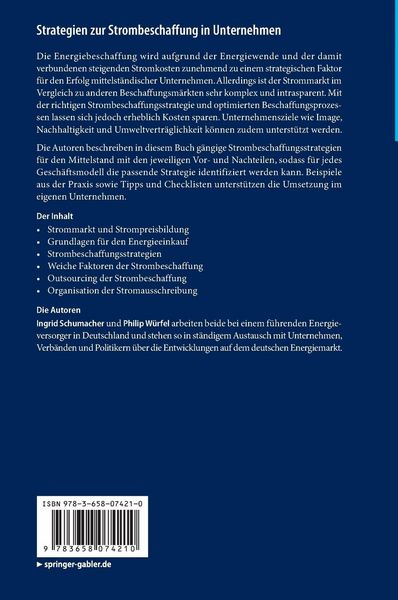 Produktbild: Strategien zur Strombeschaffung in Unternehmen