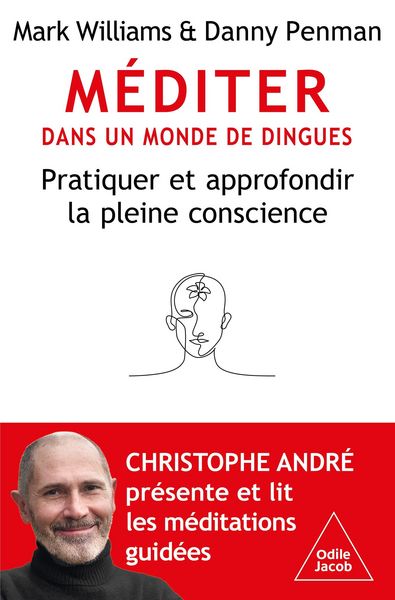 Produktbild: Mediter dans un monde de dingues