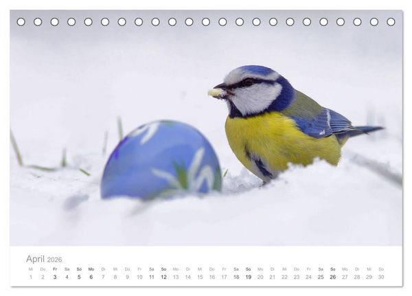 Produktbild: V&ouml;gel in unseren G&auml;rten 2026 (Tischkalender 2026 DIN A5 quer), CALVENDO Monatskalender