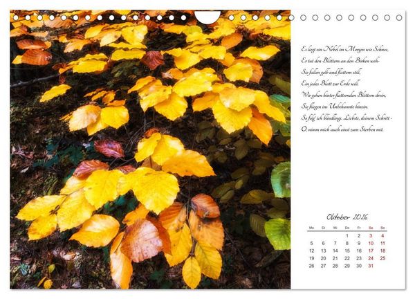 Produktbild: Max Dauthendey - Mit der Natur durchs Jahr (Wandkalender 2026 DIN A4 quer), CALVENDO Monatskalender