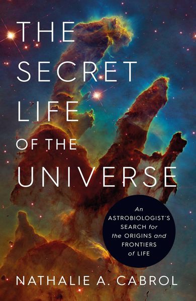 Produktbild: The Secret Life of the Universe