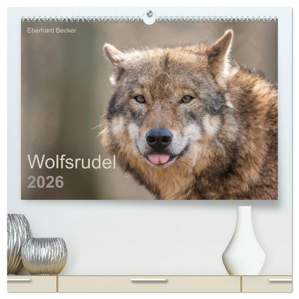 Produktbild: Wolfsrudel (hochwertiger Premium Wandkalender 2026 DIN A2 quer), Kunstdruck in Hochglanz