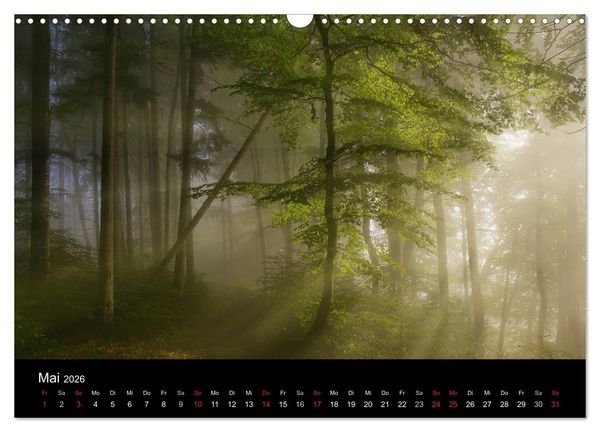 Produktbild: Mysterium Wald (Wandkalender 2026 DIN A3 quer), CALVENDO Monatskalender