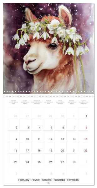 Produktbild: Alpagas du c&oelig;ur (Calendrier mural carr&eacute; 2026 30x30 cm) Calendrier double avec une page pour vos prises de notes