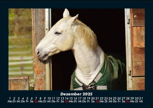Produktbild: Die Welt der Pferde 2025 Fotokalender DIN A5