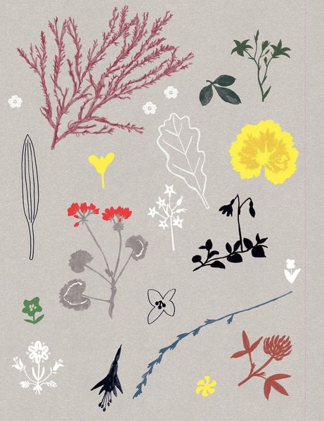 Produktbild: Paper Book for Nature Lovers