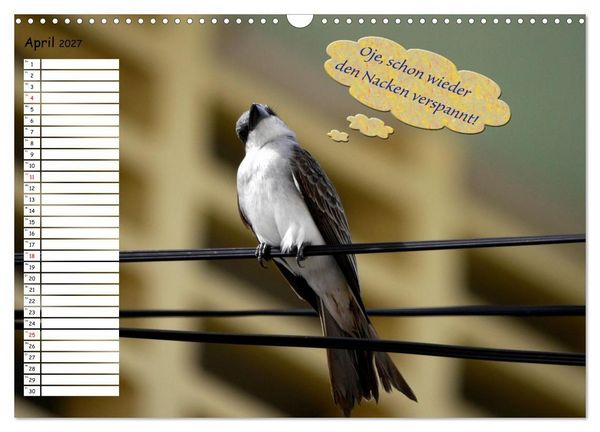 Produktbild: Wenn Tiere Sprechen k&ouml;nnten! Der lustige Spr&uuml;che Geburtstagskalender (Wandkalender 2027 DIN A3 quer), CALVENDO Monatskalender
