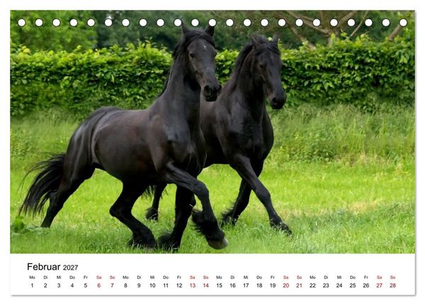Produktbild: Friesen - Kraft und Eleganz (Tischkalender 2027 DIN A5 quer), CALVENDO Monatskalender