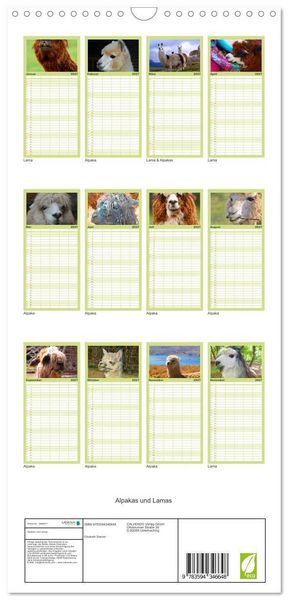 Produktbild: Familienplaner 2027 - Alpakas und Lamas mit 5 Spalten (Wandkalender, 21 x 45 cm) CALVENDO