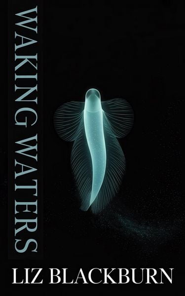 Produktbild: Waking Waters