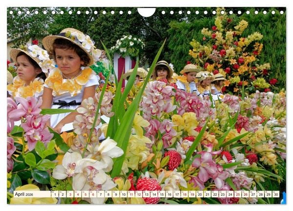 Produktbild: Blumenfest auf Madeira (Wandkalender 2026 DIN A4 quer), CALVENDO Monatskalender