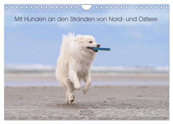Produktbild: Mit Hunden an den Str&auml;nden von Nord- und Ostsee (Wandkalender 2026 DIN A4 quer), CALVENDO Monatskalender