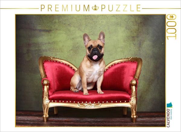 CALVENDO Puzzle Französische Bulldogge / French Bulldog | 1000 Teile Lege-Größe 64x48cm Foto-Puzzle für glückliche Stunden, Sonstige von , Calvendo