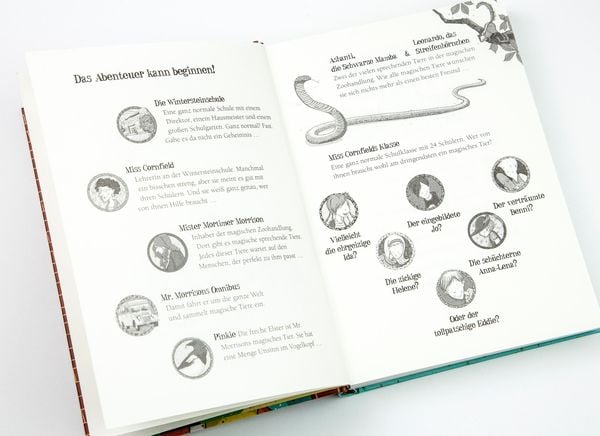 Produktbild: Die Schule der magischen Tiere Band 1