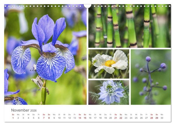 Produktbild: Ein Garten, der zum Verweilen einl&auml;dt (Wandkalender 2026 DIN A3 quer), CALVENDO Monatskalender