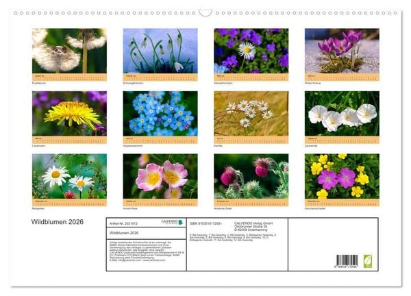 Produktbild: Wildblumen 2026 (Wandkalender 2026 DIN A2 quer), CALVENDO Monatskalender