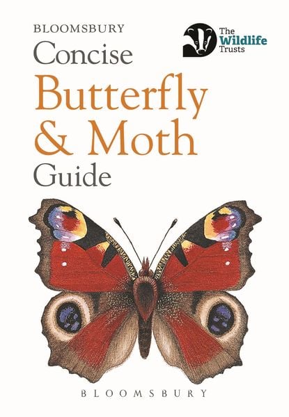 Produktbild: Concise Butterfly and Moth Guide