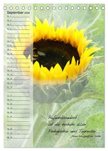 Produktbild: Blumen & Zitate / Geburtstagskalender (Tischkalender 2026 DIN A5 hoch), CALVENDO Monatskalender