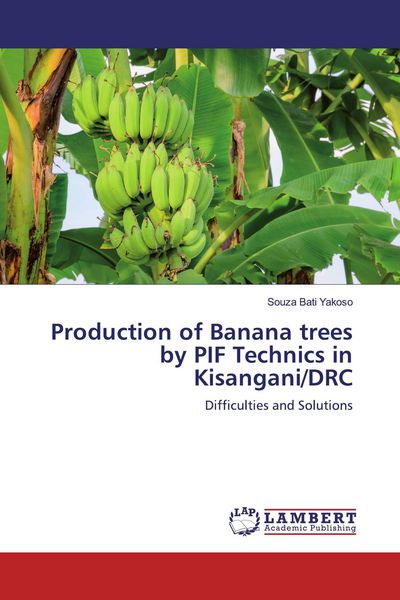 Produktbild: Production of Banana trees by PIF Technics in Kisangani/DRC