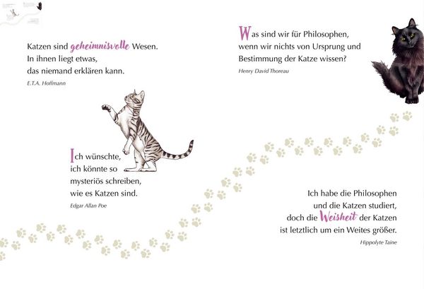 Produktbild: MIAU! - Engel auf Samtpfoten