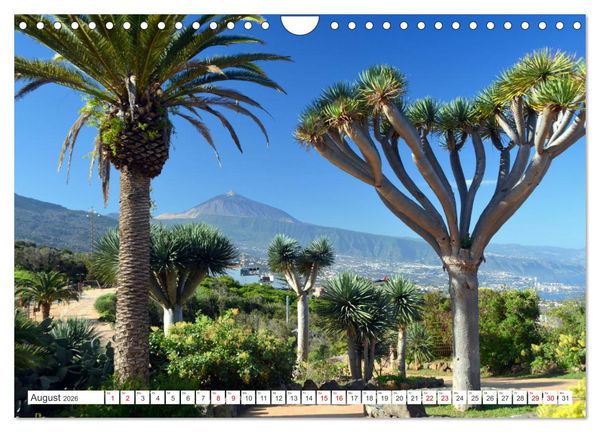Produktbild: Teneriffa - Insel der Gl&uuml;ckseligen (Wandkalender 2026 DIN A4 quer), CALVENDO Monatskalender