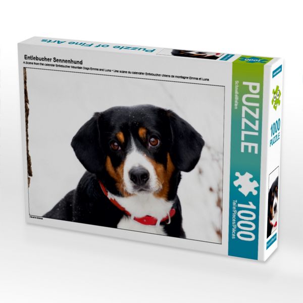 Produktbild: CALVENDO Puzzle Entlebucher Sennenhund | 1000 Teile Lege-Gr&ouml;&szlig;e 64 &times; 48 cm Foto-Puzzle f&uuml;r gl&uuml;ckliche Stunden