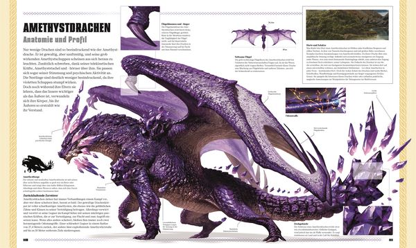 Produktbild: Dungeons & Dragons Das Buch der Drachen