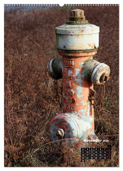 Produktbild: Nostalgie Hydranten (hochwertiger Premium Wandkalender 2026 DIN A2 hoch), Kunstdruck in Hochglanz