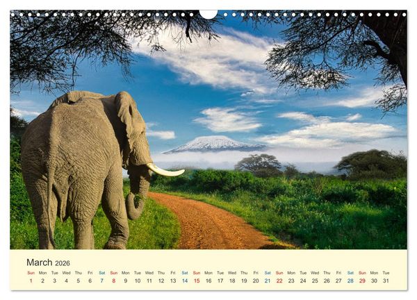 Produktbild: Wonderful Kenya (Wall Calendar 2026 DIN A3 landscape), CALVENDO 12 Month Wall Calendar