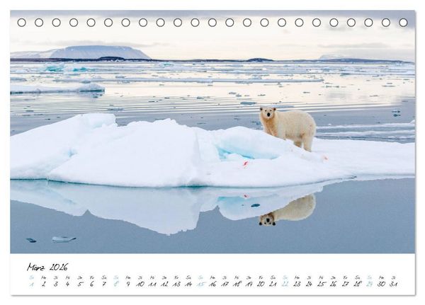 Produktbild: Heike Odermatt: 80&deg; Nord - Fotografien von Spitzbergen und Nordaustland (Tischkalender 2026 DIN A5 quer), CALVENDO Monatskalender