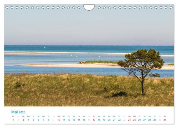 Produktbild: Der Dar&szlig; Kalender (Wandkalender 2026 DIN A4 quer), CALVENDO Monatskalender