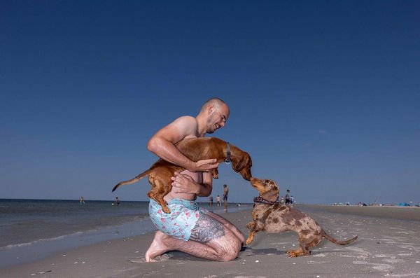 Produktbild: Hundestrand