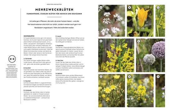 Produktbild: Mein Gem&uuml;segarten
