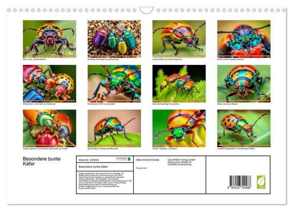 Produktbild: Besondere bunte K&auml;fer (Wandkalender 2026 DIN A3 quer), CALVENDO Monatskalender