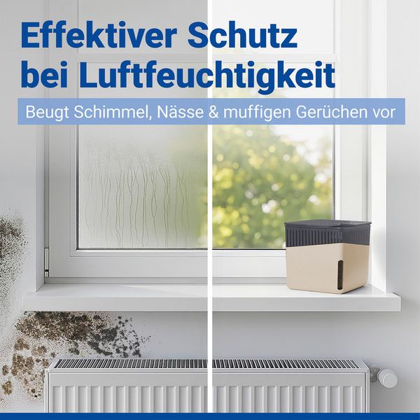 Produktbild: Raumentfeuchter Mod. Cube Beige 1000 g, 2er Set, beugt Schimmel und Ger&uuml;chen vor