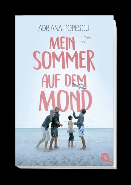Produktbild: Mein Sommer auf dem Mond