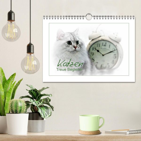 Produktbild: Katzen &ndash; Treue Begleiter (CH - Version) (Wandkalender 2026 DIN A4 quer), CALVENDO Monatskalender