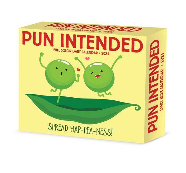 Produktbild: Willow Creek Press: Pun Intended 2024 6.2 X 5.4 Box Calendar