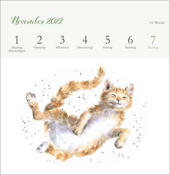 Produktbild: Hannah Dale: Happy Animals Premium-Postkartenkalender 2027