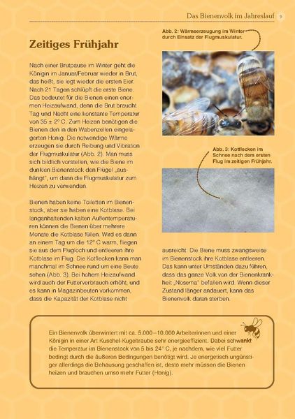 Produktbild: Mit Bienen die Welt retten