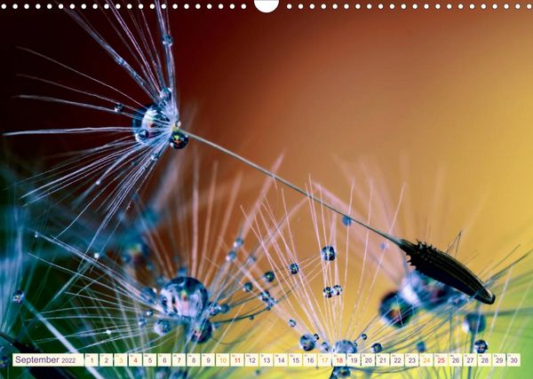 Produktbild: B&uuml;hne frei f&uuml;r die bunte Tr&ouml;pfchenwelt (Wandkalender 2022 DIN A3 quer)