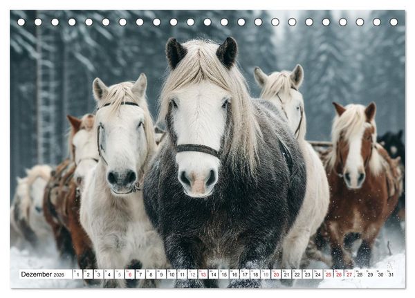 Produktbild: Pferde in freier Natur (Tischkalender 2026 DIN A5 quer), CALVENDO Monatskalender