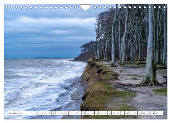 Produktbild: Deutsche Bundesl&auml;nder - Mecklenburg-Vorpommern (Wandkalender 2026 DIN A4 quer), CALVENDO Monatskalender