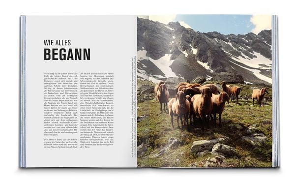 Produktbild: KOMPASS Bildband Spuren der Natur
