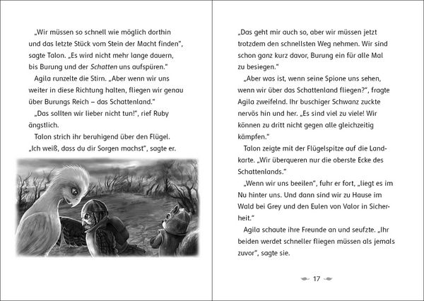 Produktbild: Der letzte Feuerfalke und das Schattenland (Band 5)