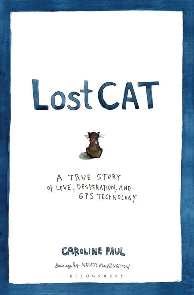 Produktbild: Lost Cat